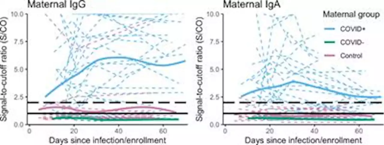 Frontiers | SARS-CoV-2 specific antibody trajectories in mothers and infants over two months following maternal infection