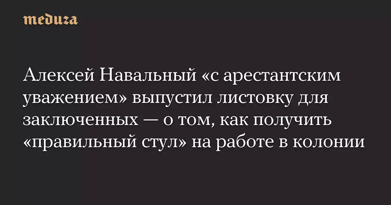 Алексей Навальный «с арестантским уважением» выпустил листовку для заключенных — о том, как получить «правильный стул» на работе в колонии — Meduza