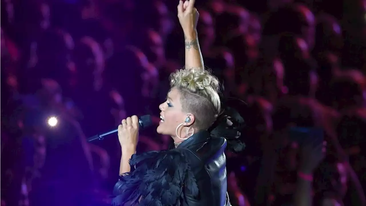 Pink live in Berlin 2023 – Was Fans wissen müssen