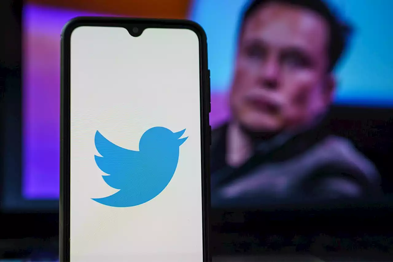 Elon Musk wants Twitter edit button to be free