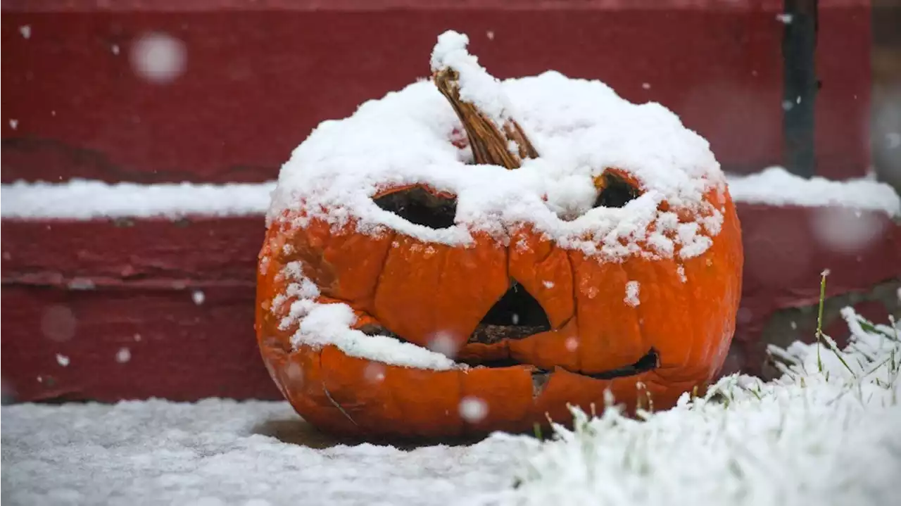 Get ready for some frost on your jack-o-lanterns