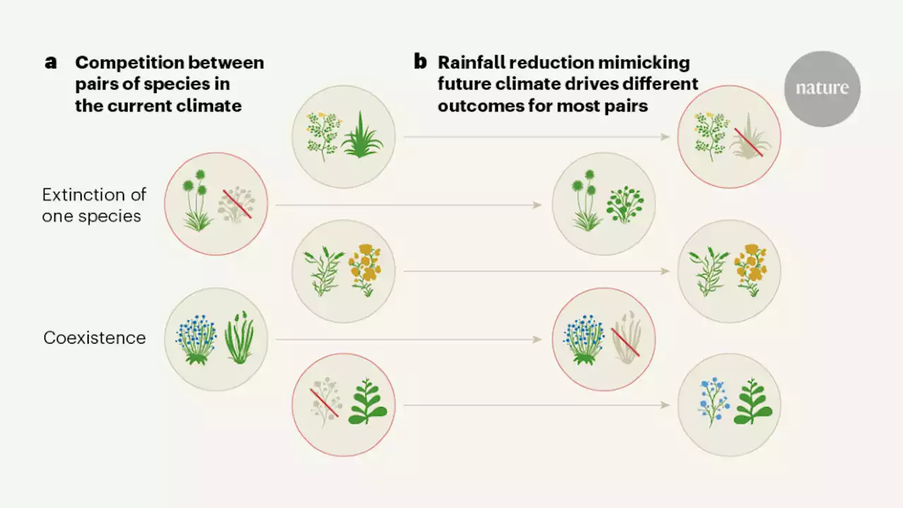 The role of neighbouring species in survival as the climate changes