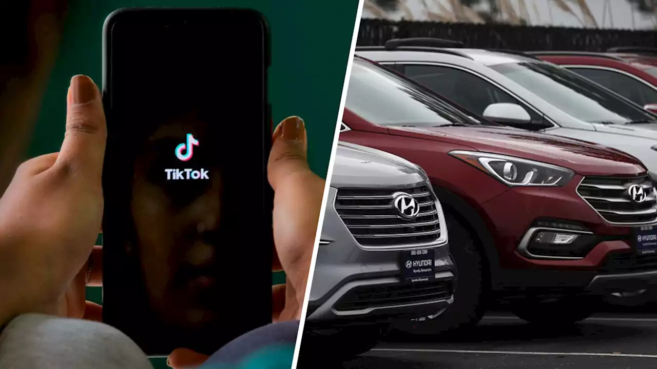 Chicago Police Warn of More and More Hyundai, Kia Thefts Stemming From Viral TikTok ‘Challenge'