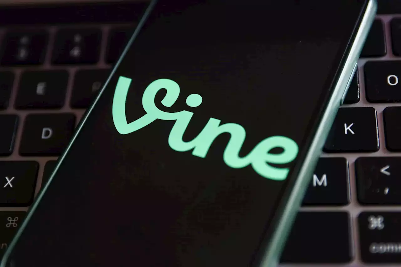 Vine Might Be Getting Revived By Elon Musk