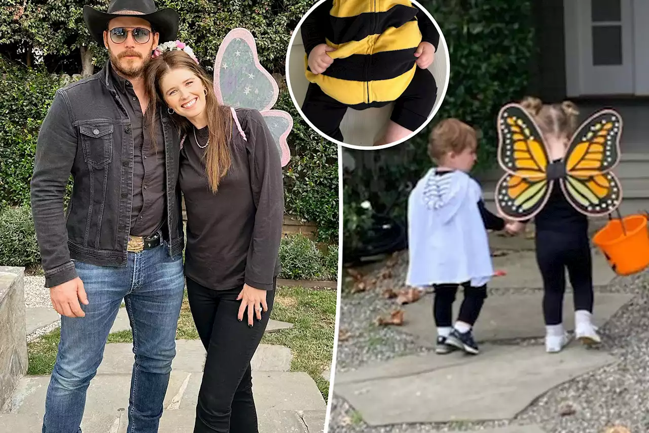 Katherine Schwarzenegger shares rare photos of daughters in Halloween costumes