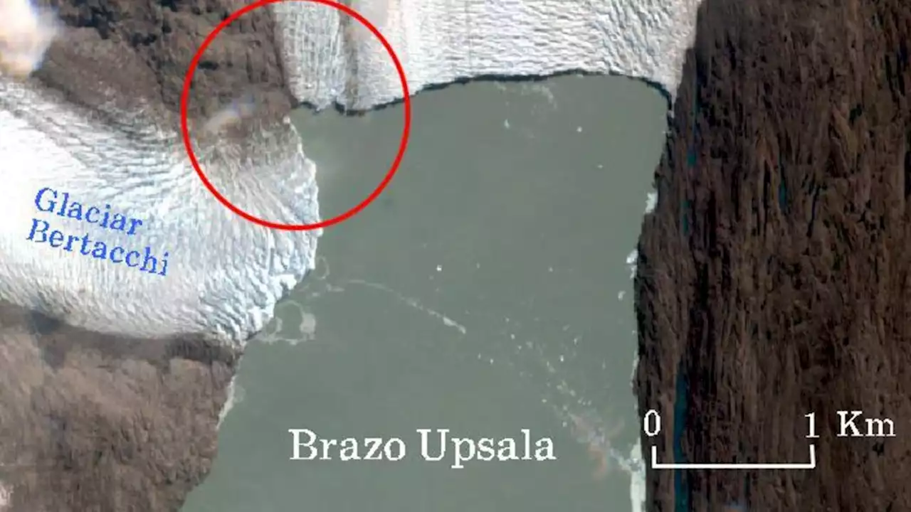 Impactante retroceso del Glaciar Upsala en Santa Cruz: todo su frente quedó al descubierto | Perdió contacto con el Bertacchi