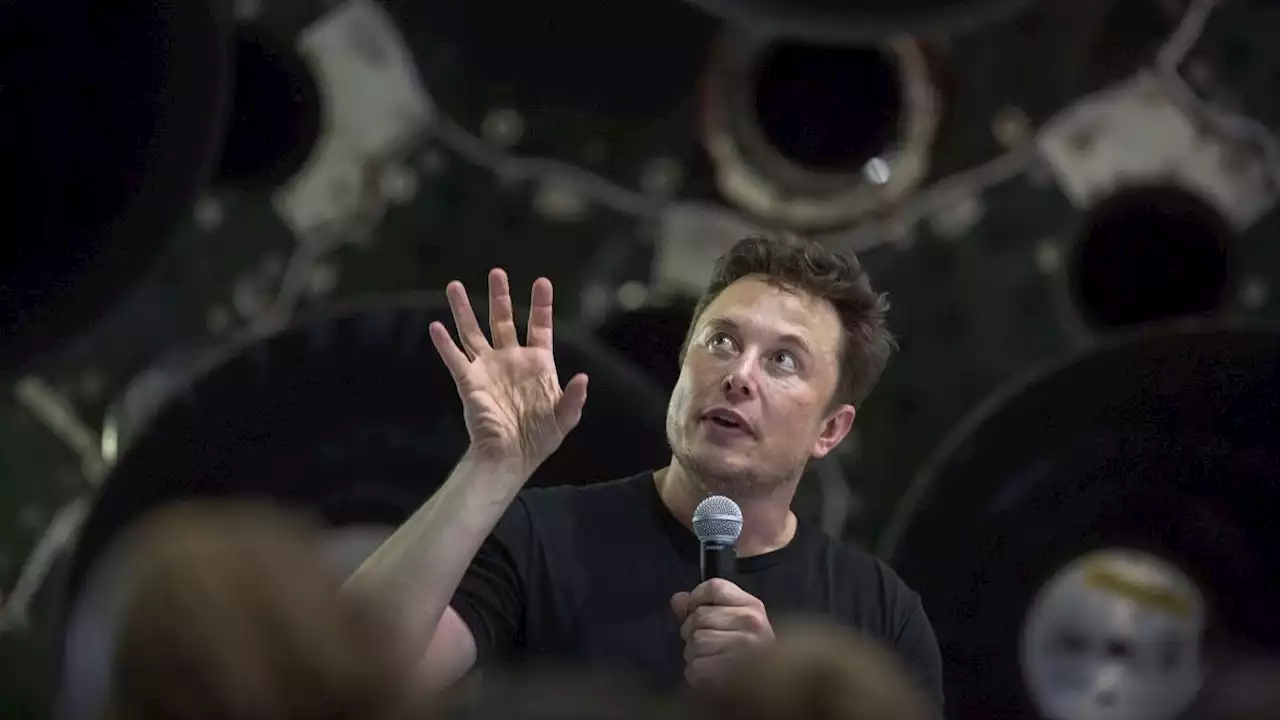 Elon Musk banishes Twitter's board, calls verification 'bullshit' and starts hucking ideas at the wall