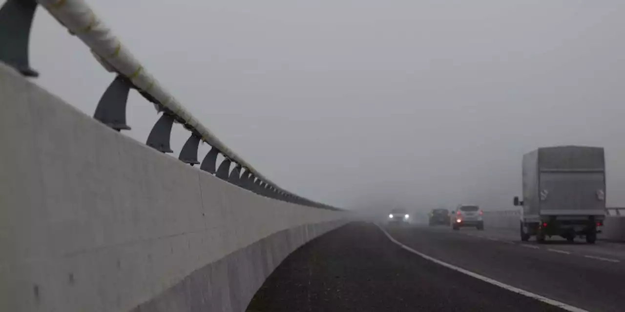 Kantone SH / TG: Die Rheinbrücke Hemishofen wird dem Verkehr übergeben