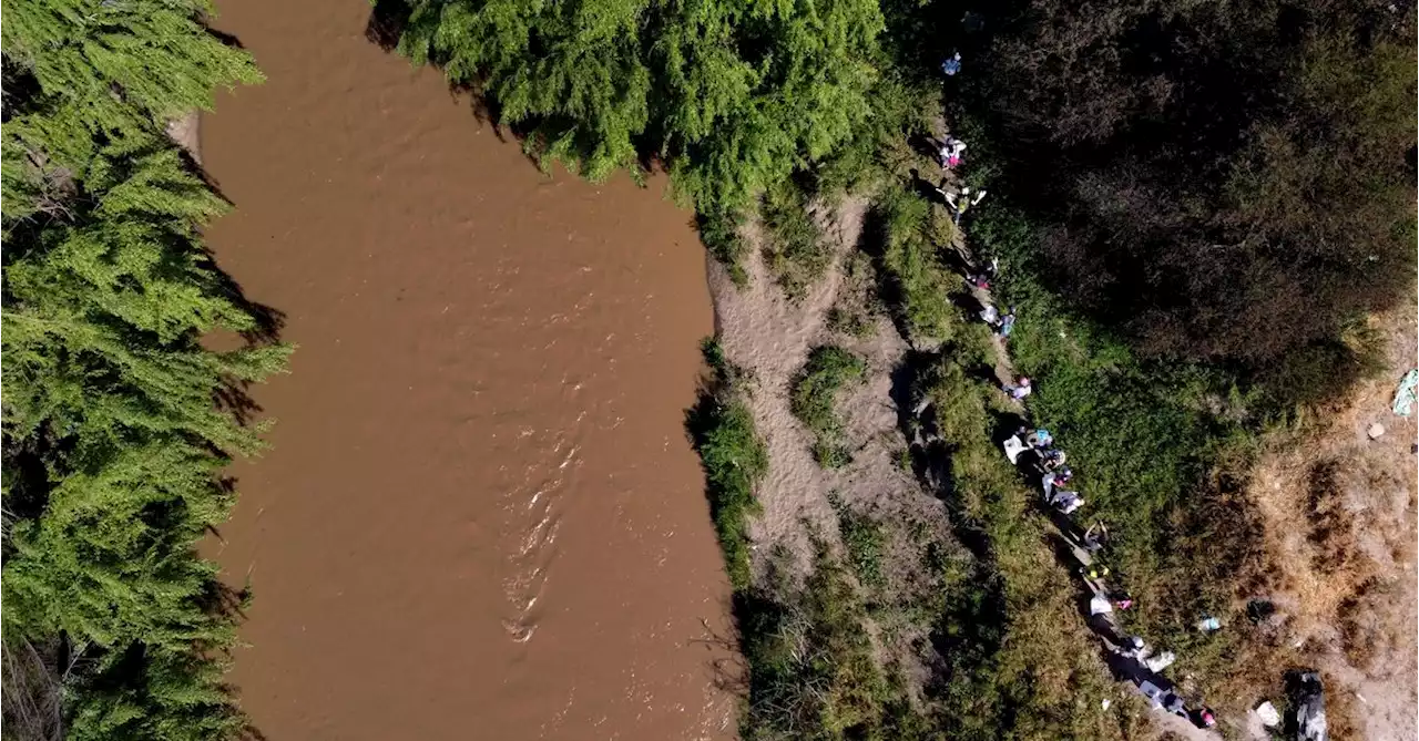 From dump to urban wetland, wildlife returns to river in Chile's capital