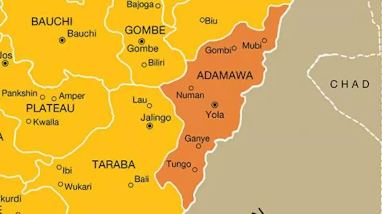 Nigerian Man Stabs Neighbour To Death Over Broken Plate In Adamawa | Sahara Reporters