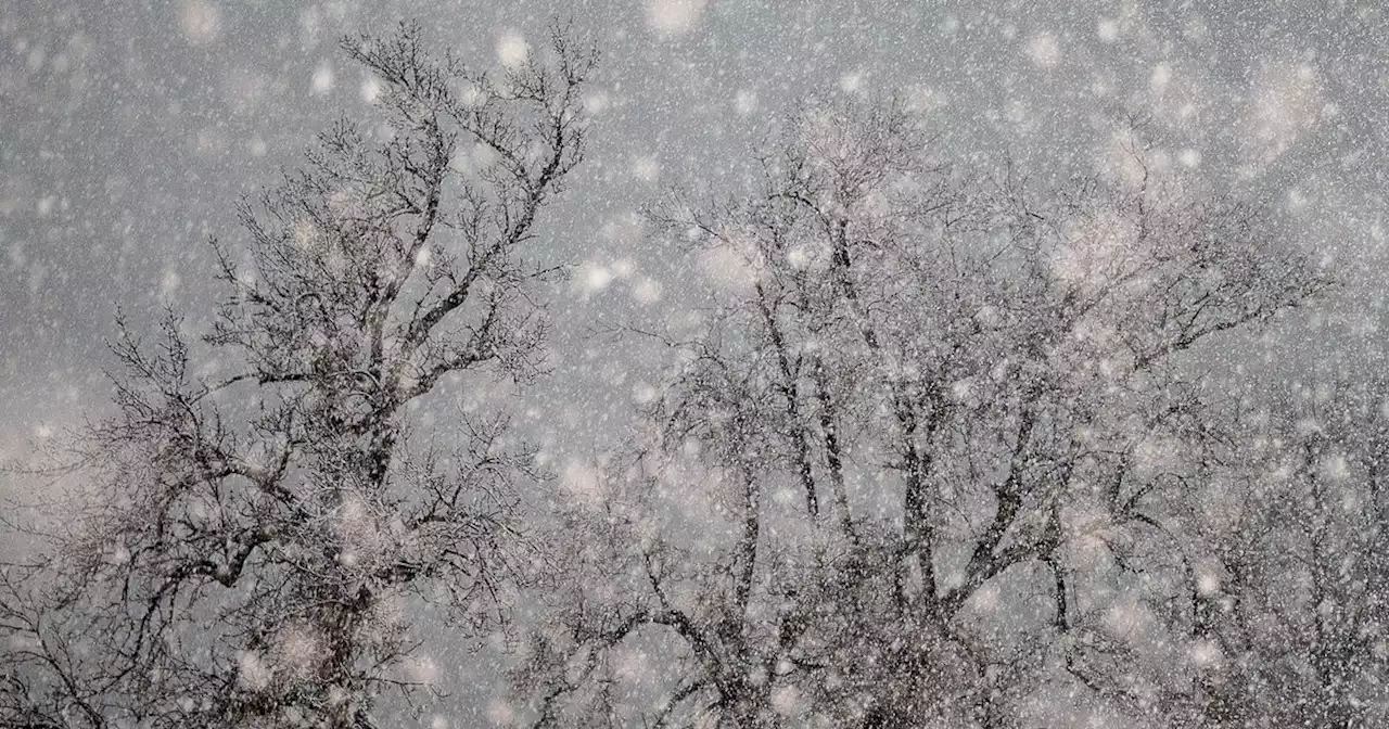 Snow falls in Salt Lake City as cold front moves in, bringing more winter weather