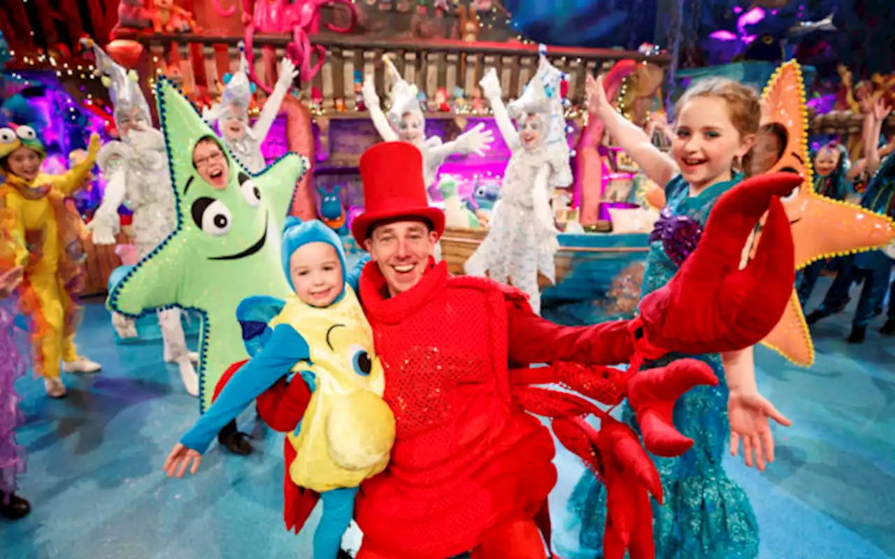 When Is The Late Late Toy Show On? | Stellar