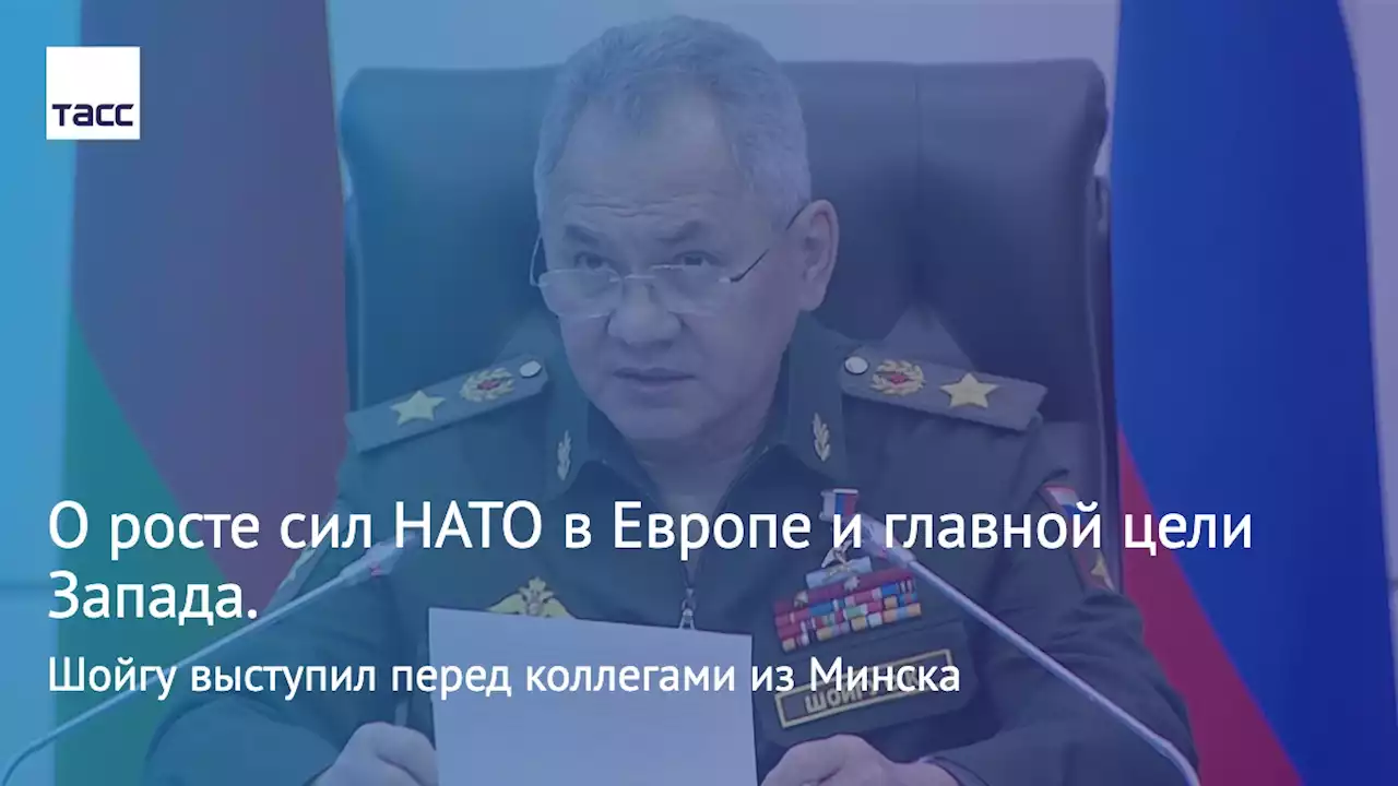 О росте сил НАТО в Европе и главной цели Запада. Шойгу выступил перед коллегами из Минска