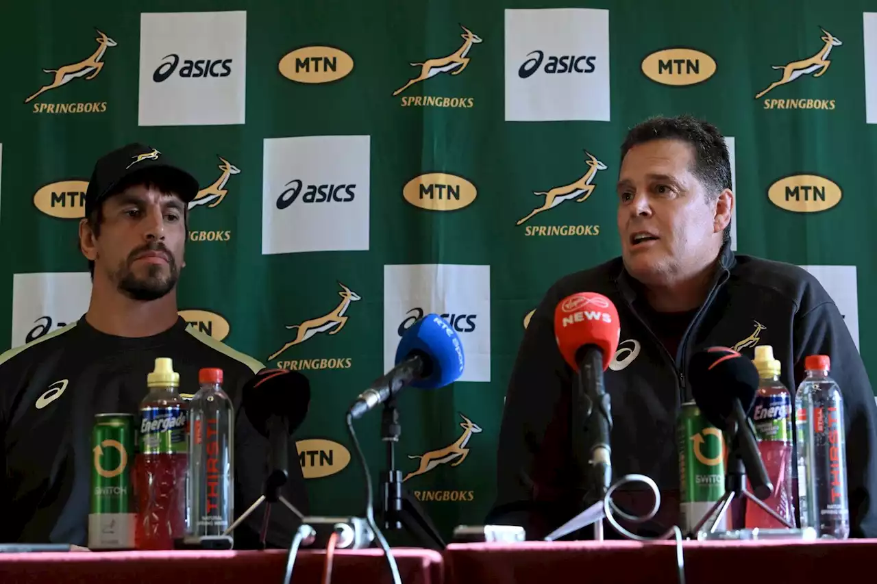 Rassie stoked to be back in the coaching box for Springboks v Ireland match | The Citizen