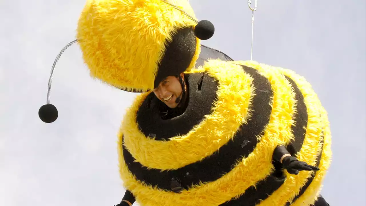 An Ode to Jerry Seinfeld Wearing a Bee Suit at Cannes