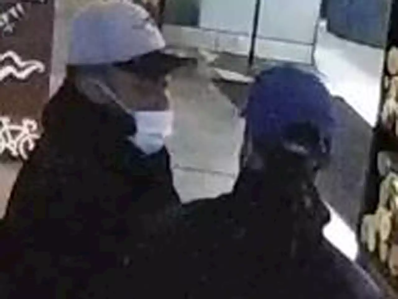 Toronto cops seek help finding pickpockets working downtown nightclubs