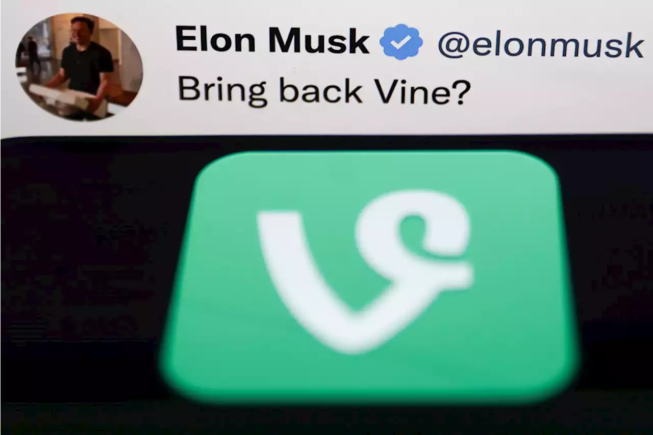 Elon Musk Reviving Vine Is a Bad Idea. Here's Why