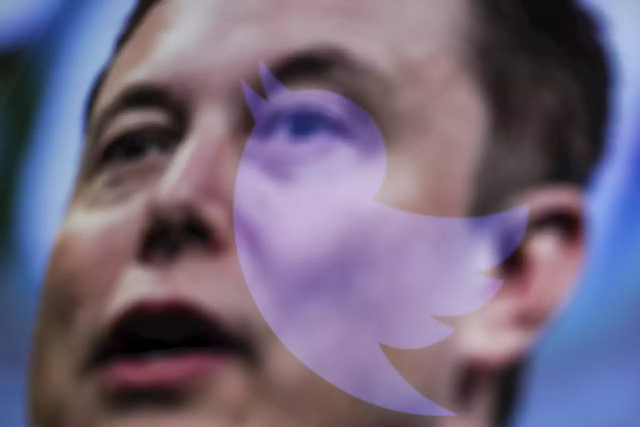 Musk Plans to Charge $8 a Month for Verified Twitter Accounts. What We Know