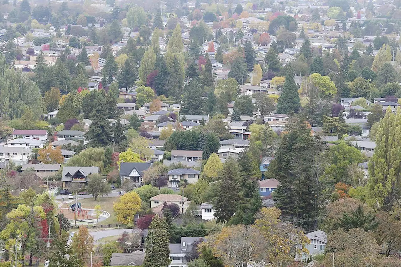 For first time in months, Greater Victoria real estate sales have gone up