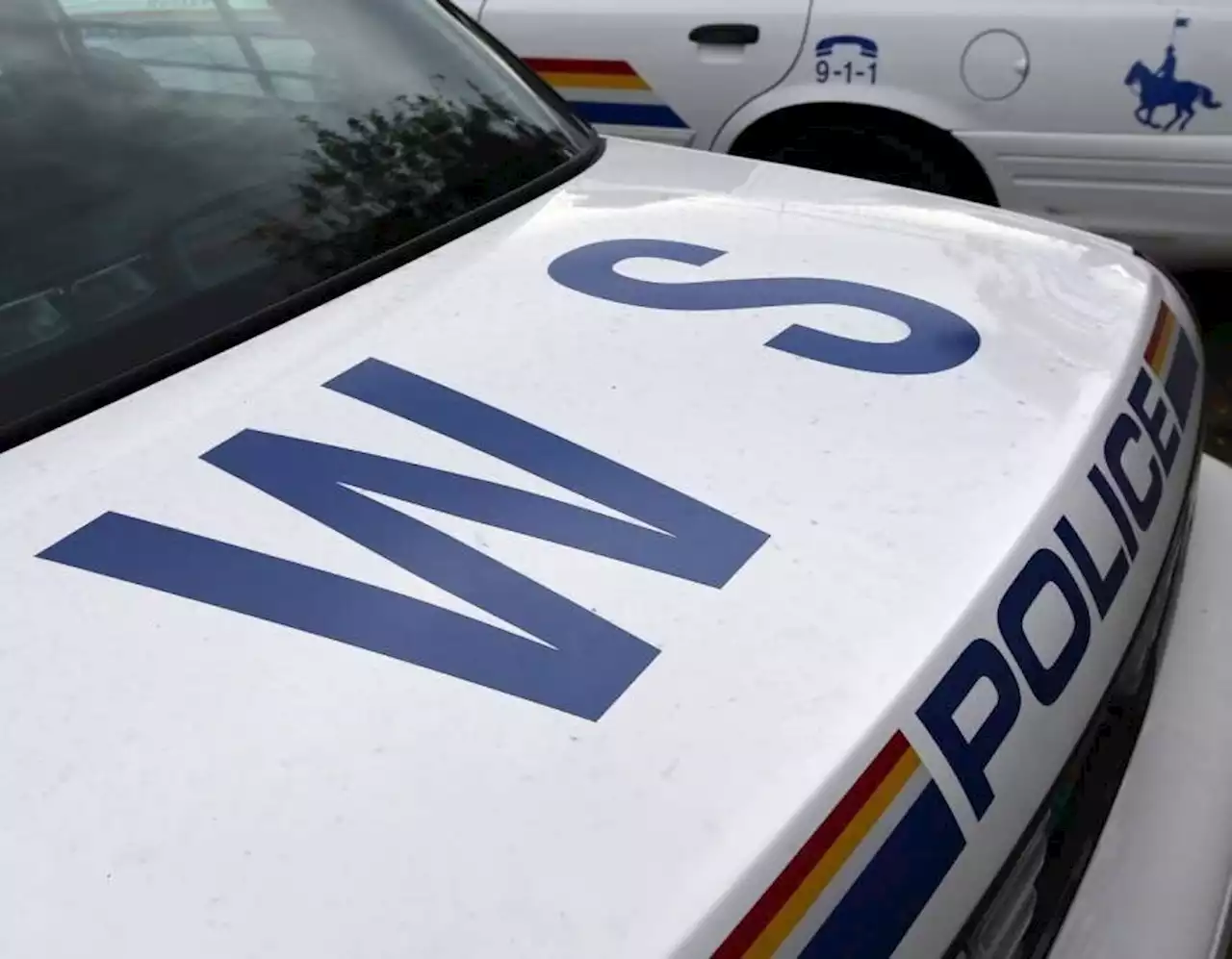 Two youths arrested in stabbing, assault on Galloping Goose in Langford