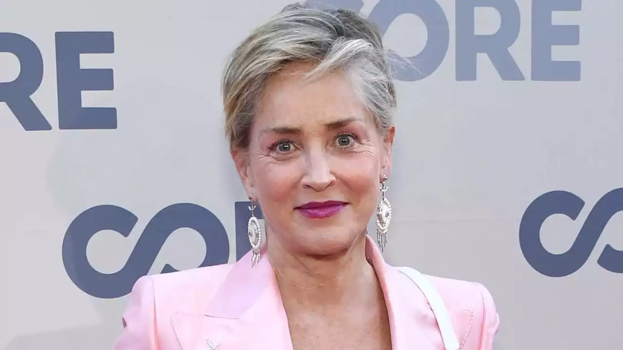 Sharon Stone Had Fibroid Tumor Removed After She Says She Was Initially Misdiagnosed