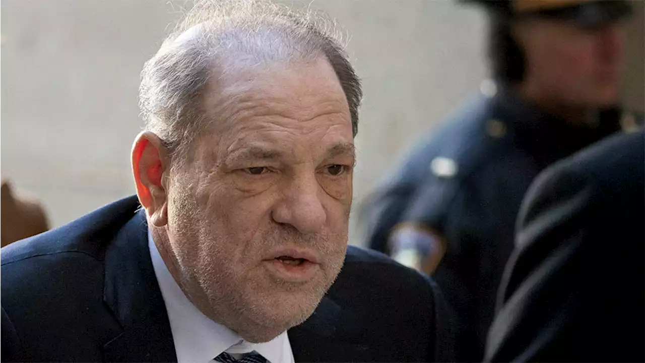 Psychiatric Expert Tells Weinstein Jury That Rape Victims’ Memories Can Become Murky Years After Assault