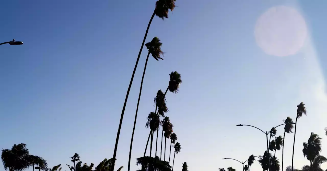 Fire danger elevated as strong winds hit Southern California