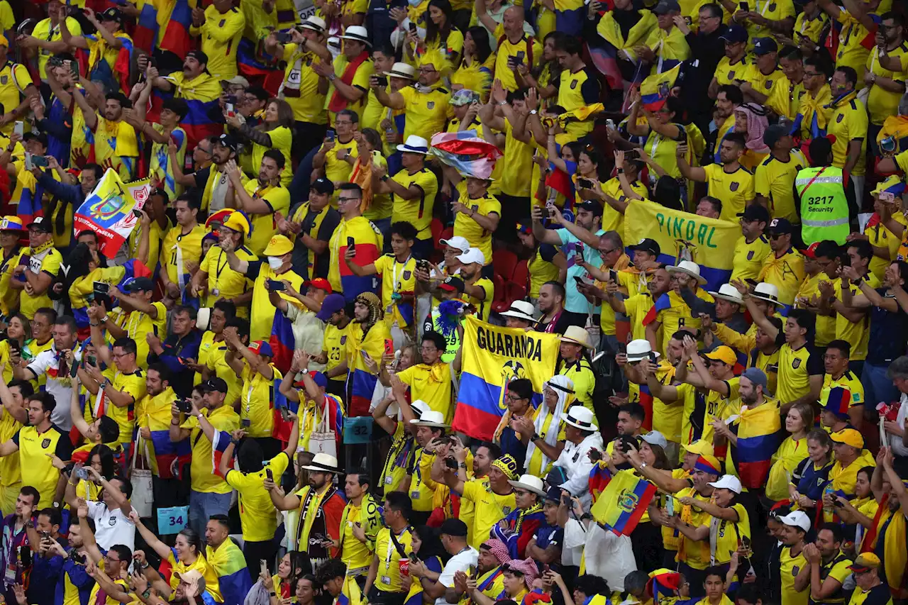 WM 2022: Ecuador-Anhänger zeigen Katarern, wie Fan sein geht