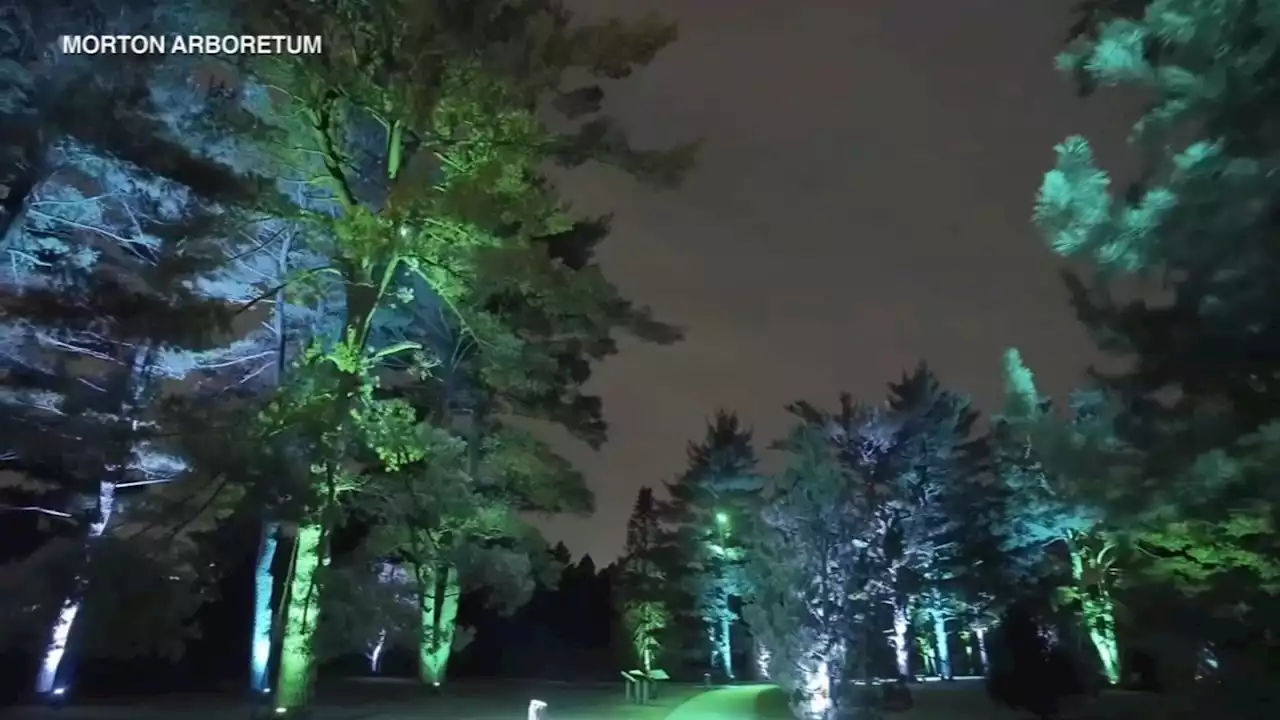 Morton Arboretum Illumination: Tree lights open for 2022 holiday season in Lisle