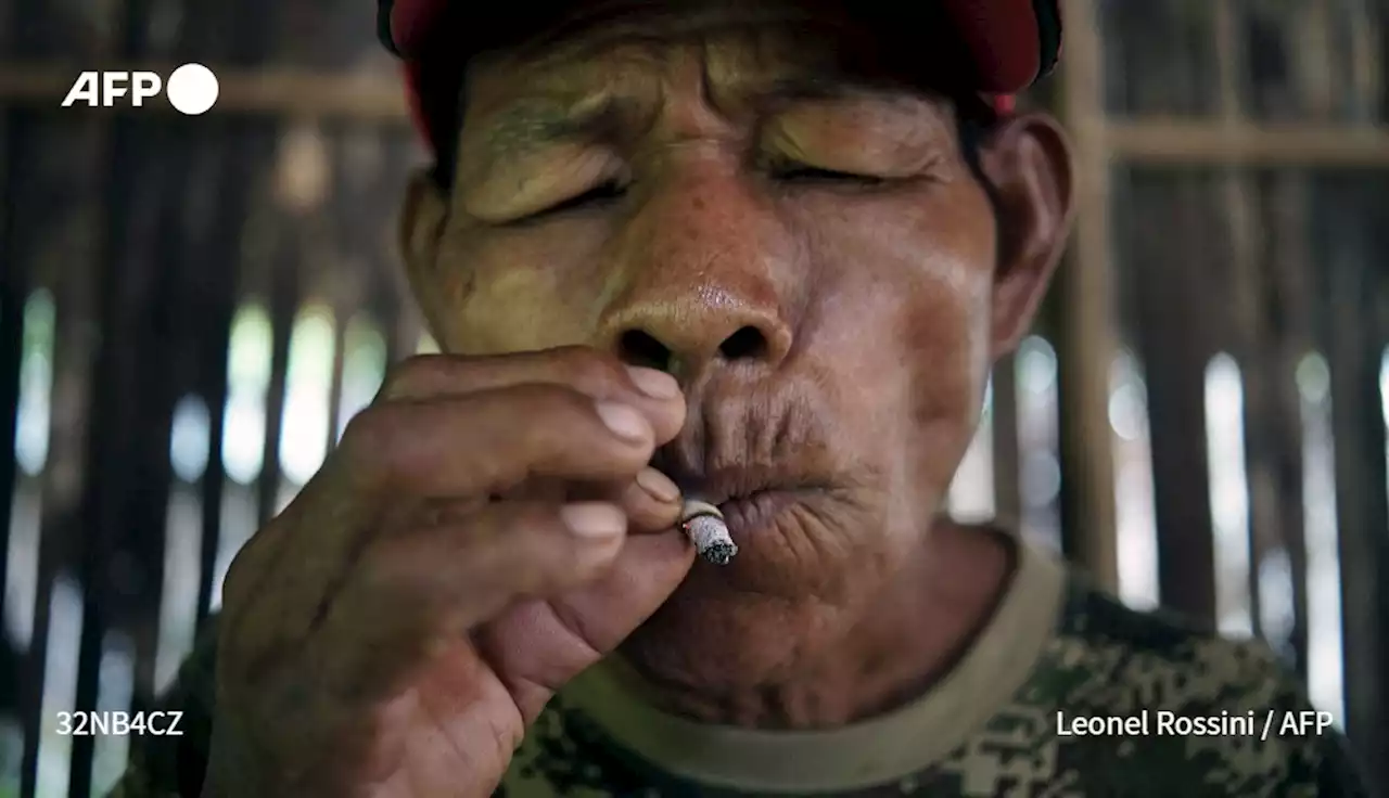 'Les jeunes nous quittent': alerte au suicide dans l'Amazonie colombienne - Challenges