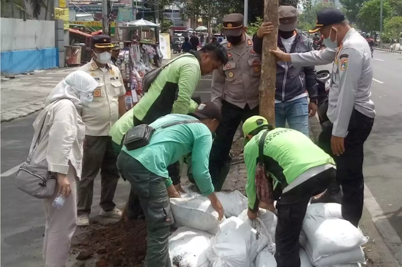 Pemkot Jakbar gandeng PKL tanam dan rawat pohon di jalan Mangga Besar