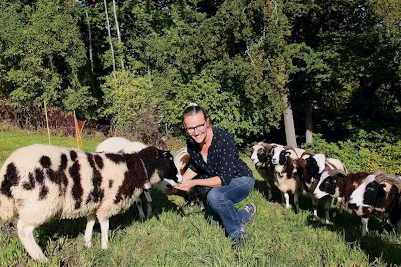 Cäcilia Brems Leidenschaft sind die Musik und ihre Jakobsschafe - bauernzeitung.ch