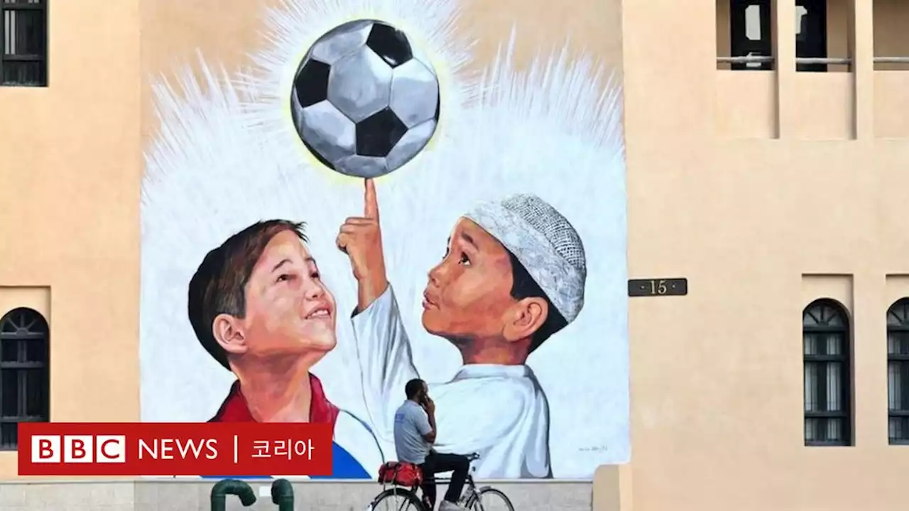 2022 카타르 월드컵: '죽임당하지 않을까 걱정하고 싶지 않아요' - BBC News 코리아