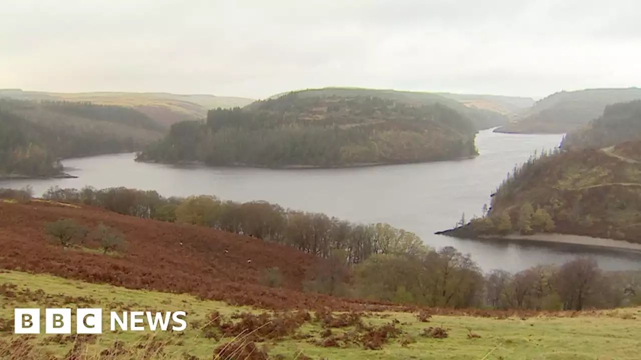 Climate change: Welsh river temperature increases by 1C