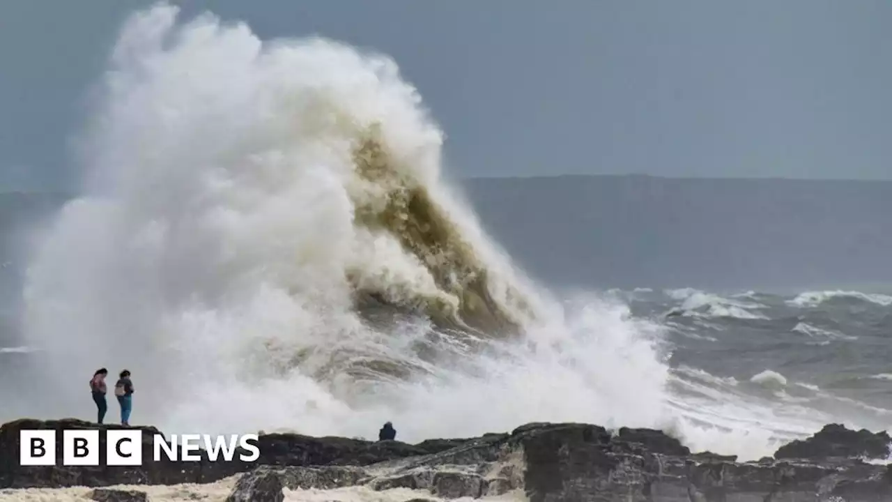 Wales weather: Wind warning for 80mph gusts on coast