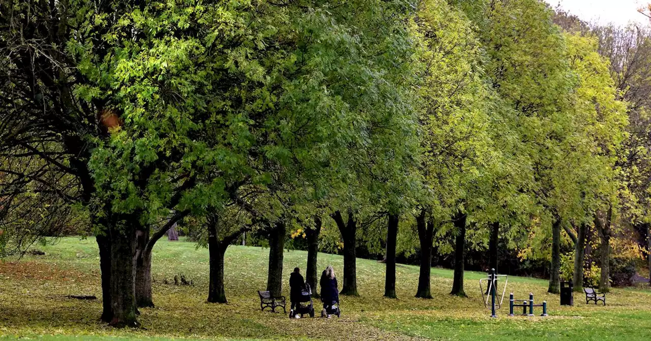 NI weather for week ahead shows unsettled conditions returning