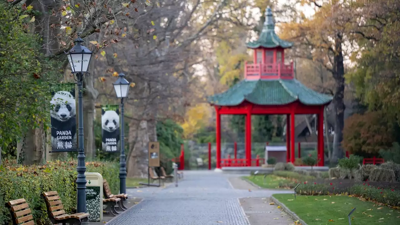 Alle wichtigen Fragen zur Vogelgrippe im Berliner Zoo