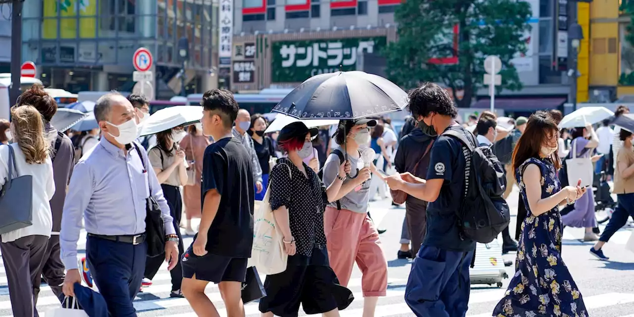 Was wir von Japans Energiekrise lernen können