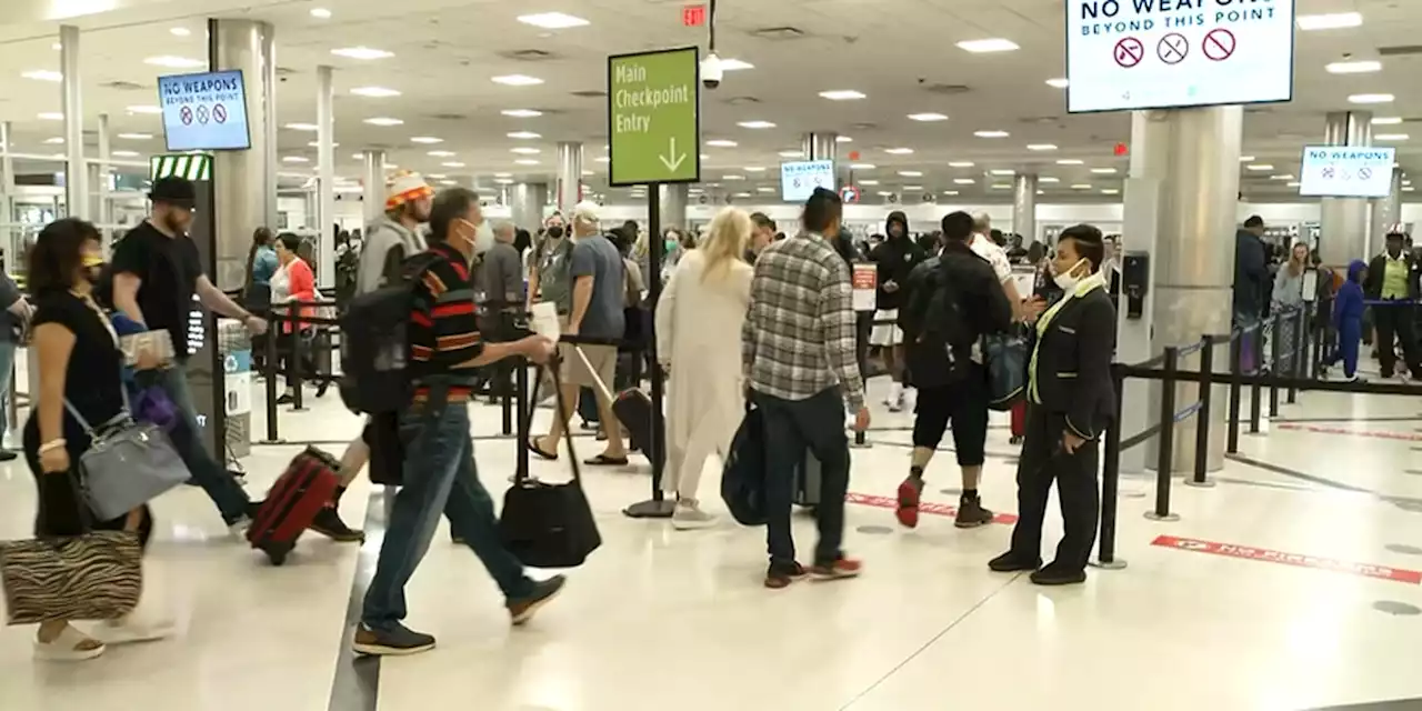 More than 54M expected to travel for Thanksgiving