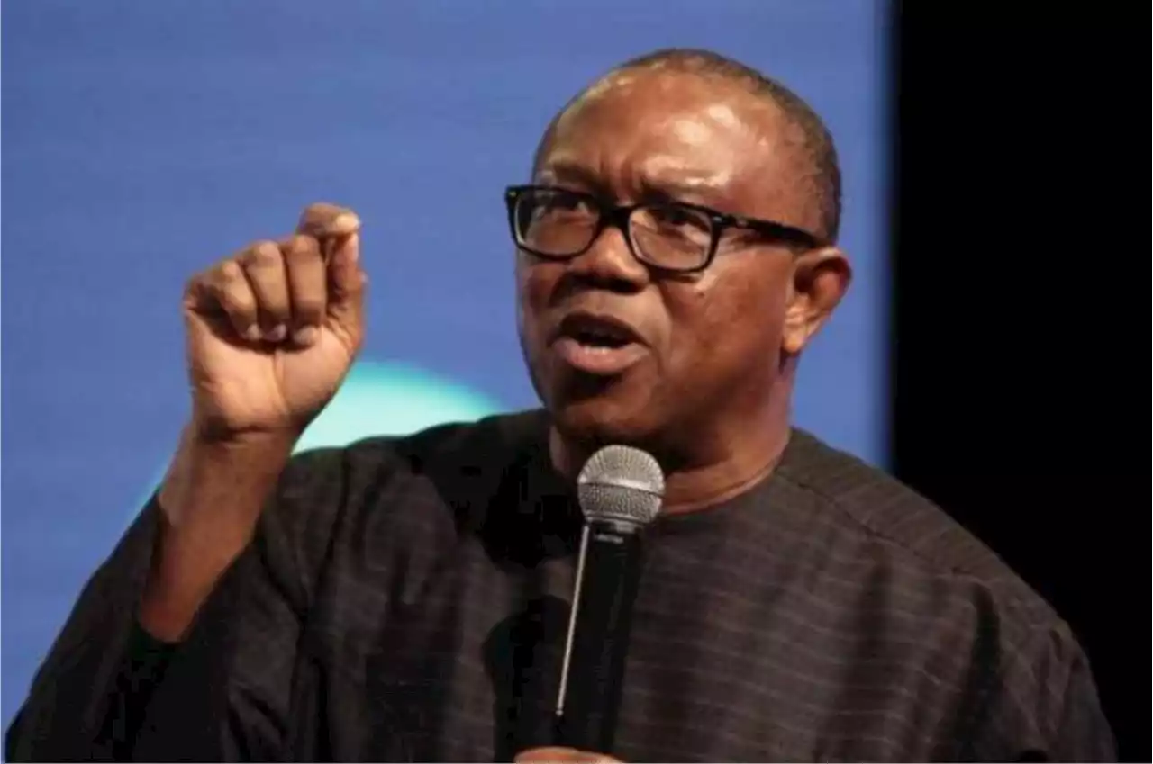 Unqualified persons holding positions in government - Peter Obi