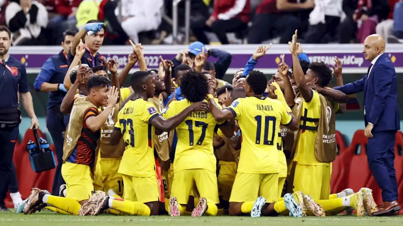 Arrancó el Mundial: la Selección Ecuatoriana se llevó los primeros puntos al vencer a Qatar