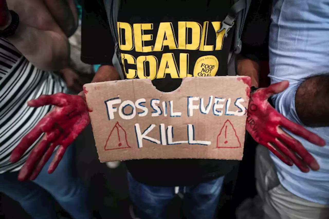 COP27 er slut: Her er de fem mest centrale punkter fra mødet
