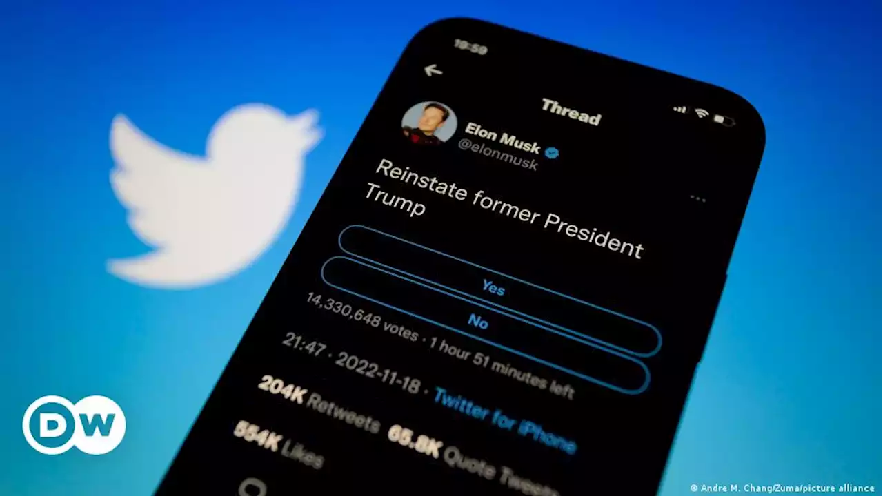 Аккаунт Трампа в Twitter восстановлен – DW – 20.11.2022
