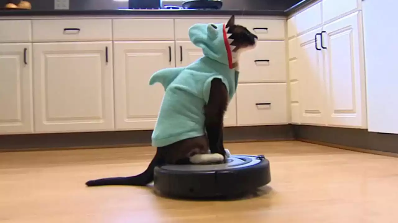 Hitting the Books: How Dave Chappelle and curious cats made Roomba a household name | Engadget