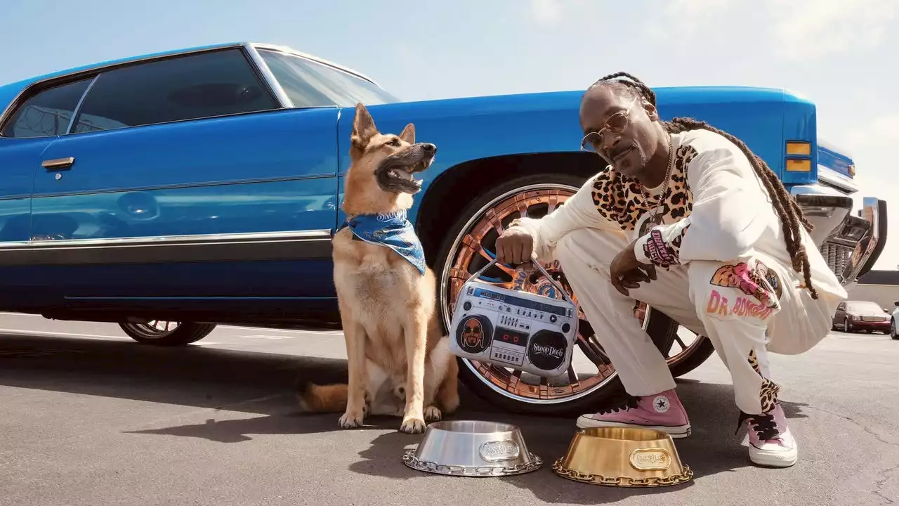 Snoop Dogg launches pet accessory line: 'If my dogs ain't fresh, I ain't fresh'