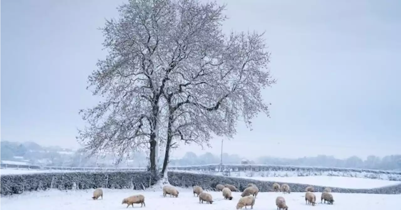 Snow on the way? Ireland is set to be as cold as Iceland | Her.ie