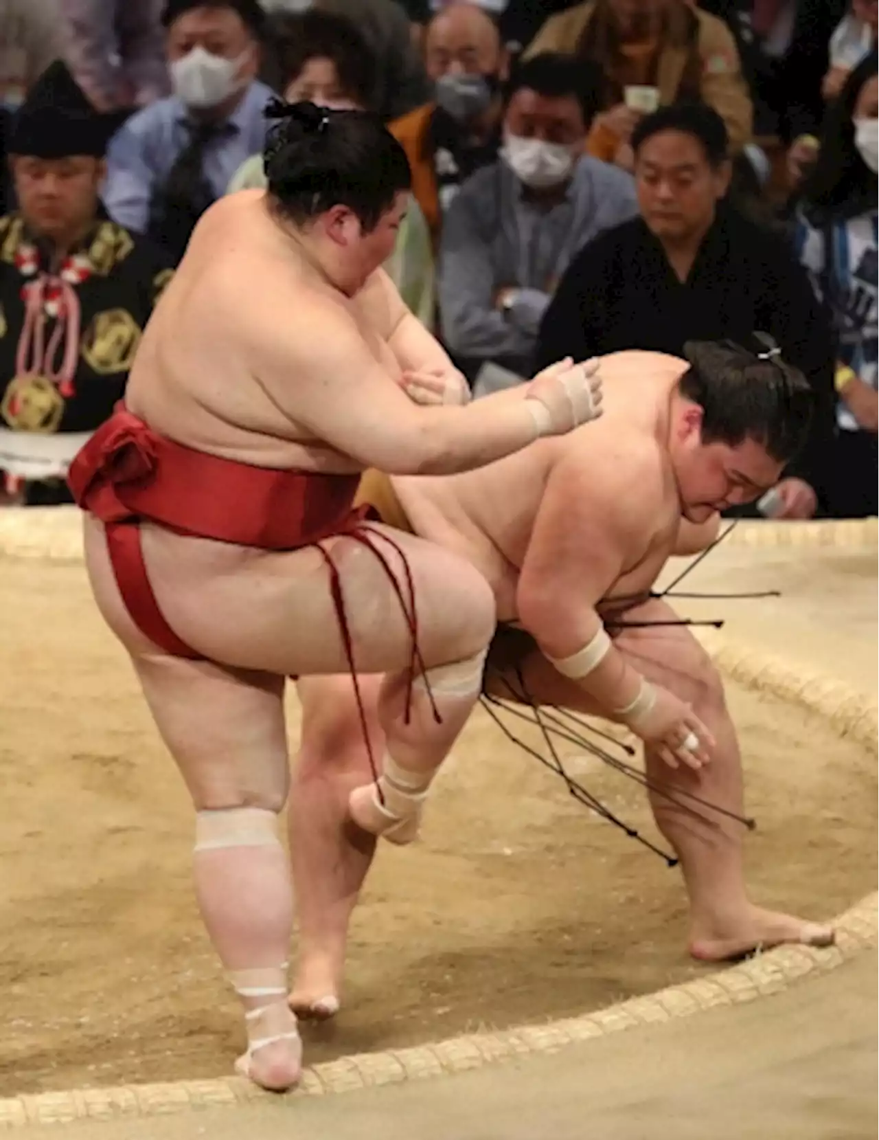 大鵬孫の前頭13枚目・王鵬 勢い止まらぬ7連勝！！ 関脇・豊昇龍ら3人も1敗守る - トピックス｜Infoseekニュース