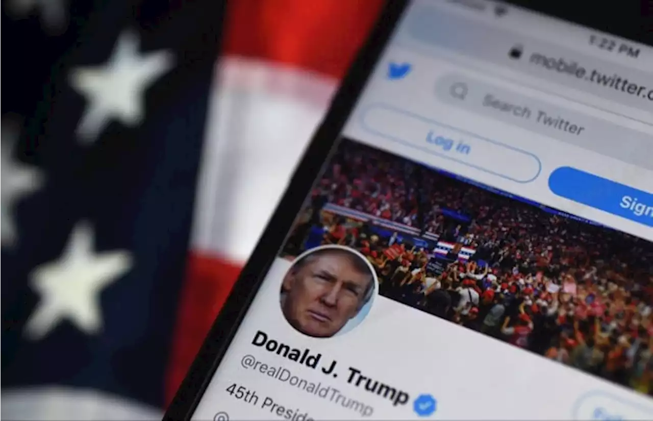 Trump Twitter account reappears after Musk poll