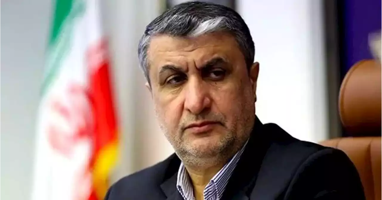 رییس سازمان انرژی اتمی: کشورهای اروپایی از انواع روشها فشار استفاده می‌کنند