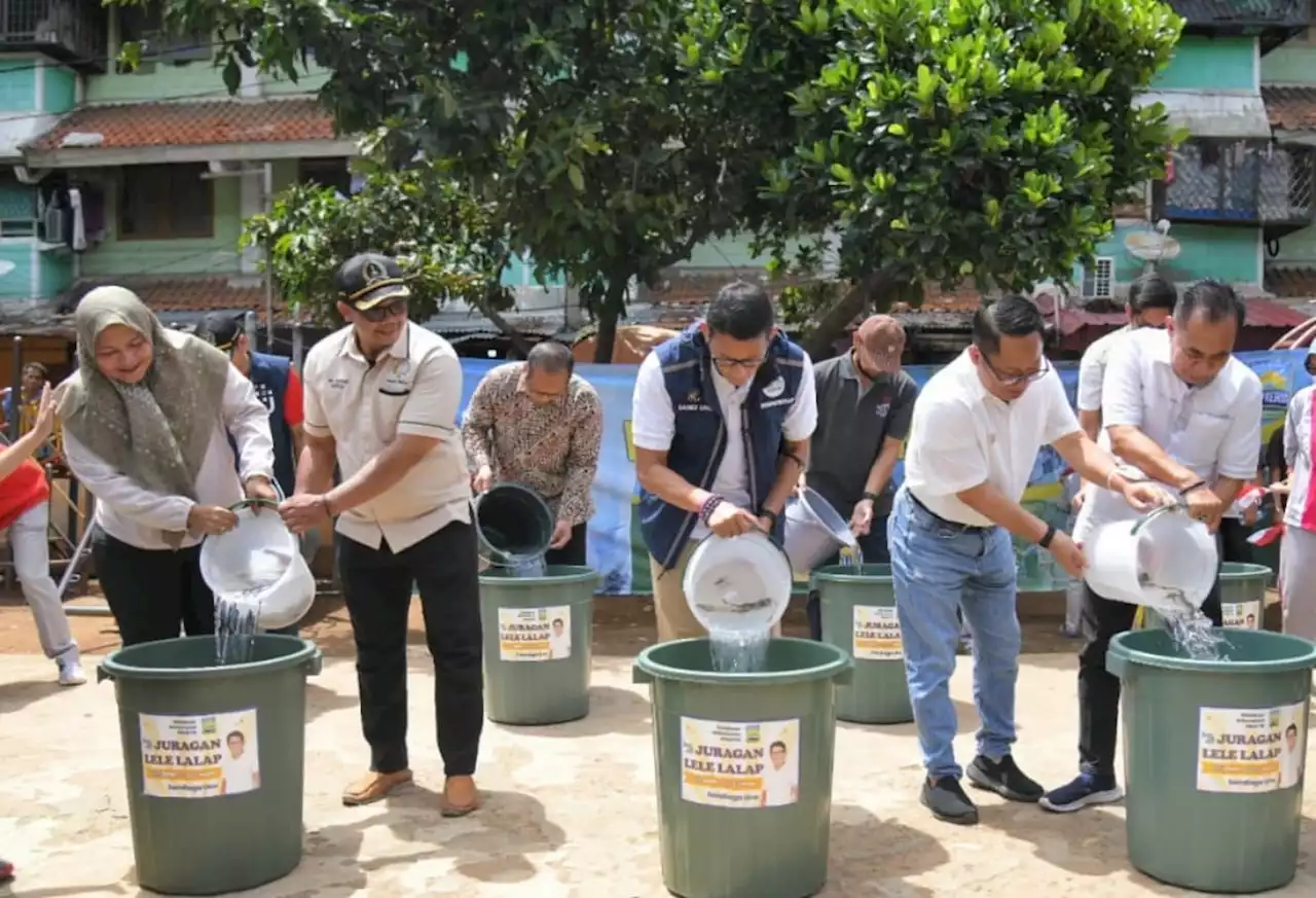 Gerakan Perekonomian, Sandiaga Uno Luncurkan Budidaya Lele di Rusun Tanah Tinggi